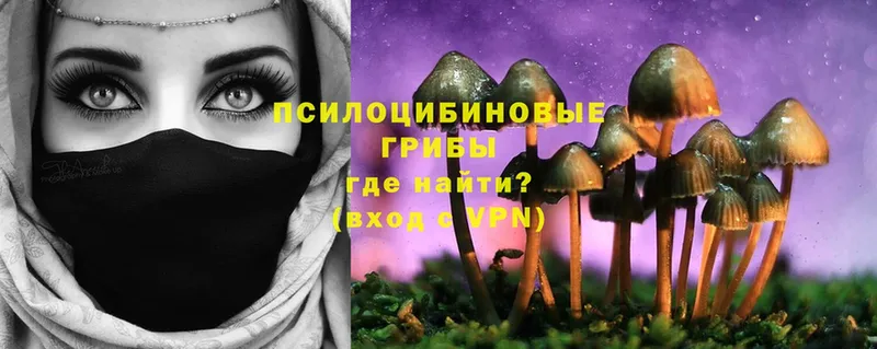 наркотики  Лакинск  Галлюциногенные грибы MAGIC MUSHROOMS 